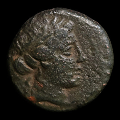 Seleucid Empire, King Seleucus II, AE Unit, Apollo (Major Greek God) - 246 to 226 BCE - Greek World