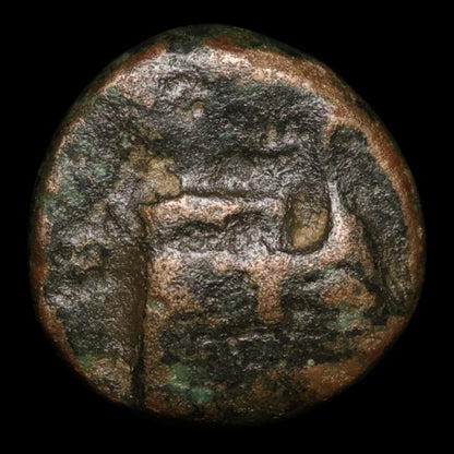 Thrace, City of Elaeus, AE Unit, Warship - c. 350 to 281 BCE - Greek World