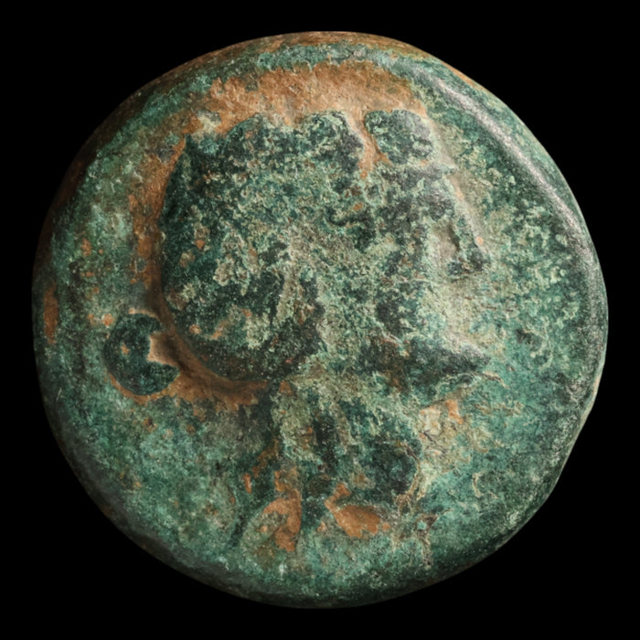 Thrace, City of Maroneia, Bronze Unit, Dionysus (Greek God of Wine) - c. 200 to 100 BCE - Ancient Greece