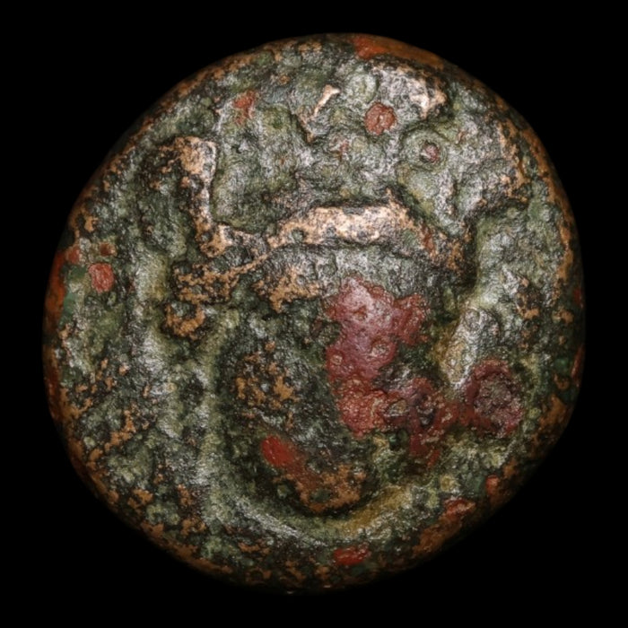 Troas, City of Sigeion, AE Unit, Athena (Goddess of Wisdom) - c. 350 BCE - Greek World