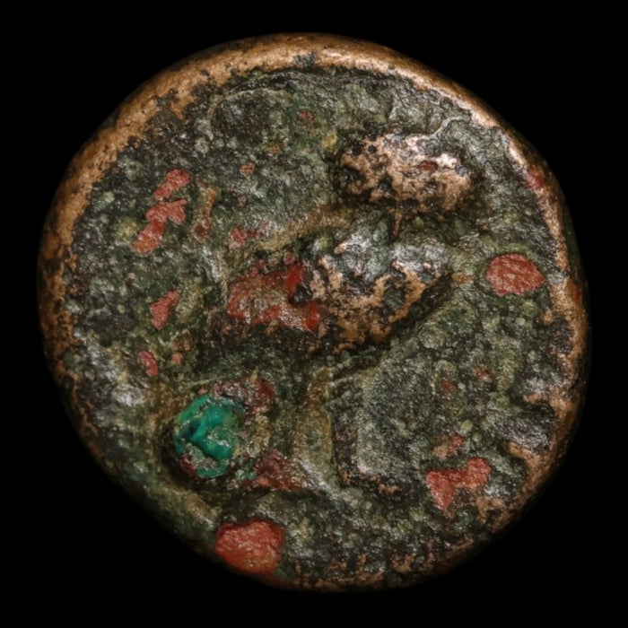 Troas, City of Sigeion, AE Unit, Athena (Goddess of Wisdom) - c. 350 BCE - Greek World