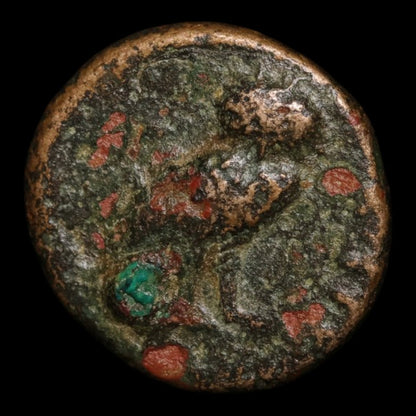 Troas, City of Sigeion, AE Unit, Athena (Goddess of Wisdom) - c. 350 BCE - Greek World