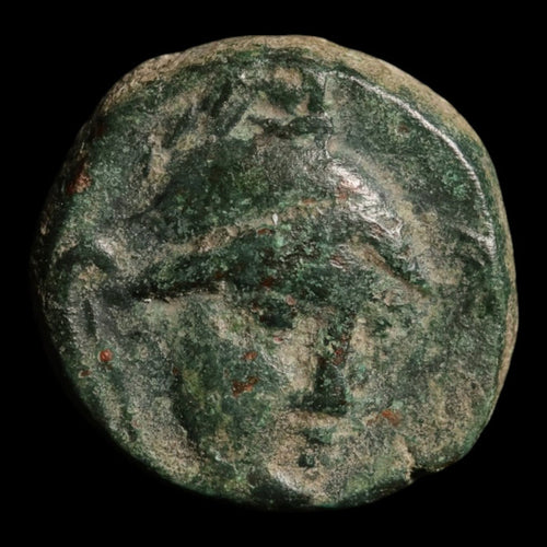 Troas, City of Troy (Ilion), AE Unit, Athena (Goddess of Wisdom) - c. 133 to 119 BCE - Greek World