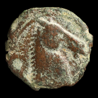Zeugitana, Carthage, Tanit & Horse - c. 300 to 200 BCE - North Africa